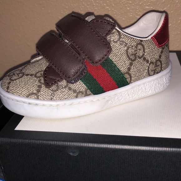Gucci Boys Tennis size 4 Toodlers - Picture 1 of 1